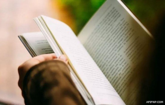 “الوزراء” يقرر إنشاء “الهيئة العامة للصناعات العسكرية”