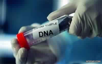 “الزكاة والدخل”: إعفاء التأمين على الحياة من ضريبة القيمة المضافة وتطبيقها على عقود التأمين الأخرى