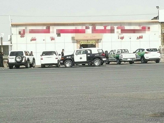 “الحياة الفطرية” تعلق على فيديو عبور القرود لطريق المدينة – مكة وتوضح أسباب انتشارها بالمنطقة