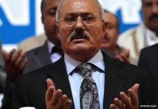 توجيهات عليا لمكافحة البيع العشوائي لحليب الإبل وضبط المخالفين ومحاسبتهم