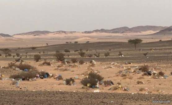 مسؤول: 100 صالة سينما في الرياض وجدة خلال 6 أشهر