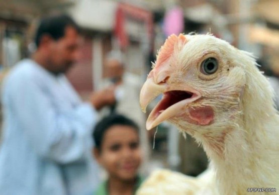 مصادر: تسكين موظفي “التعليم” على الدرجة التالية.. واستثناء من صدر بحقه قرار بالحرمان