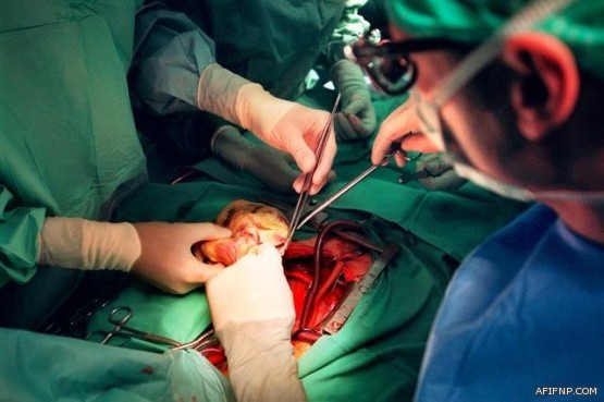 “الوزراء” يقر ضوابط تخصيص أموال مجهولي الأبوين