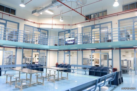 “العمل”: غداً بدء تطبيق “حماية الأجور” إلزامياً على المنشآت التي تزيد عمالتها على 30 عاملًا