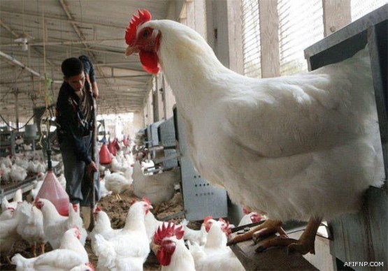 ​حالة الطقس المتوقعة اليوم الخميس