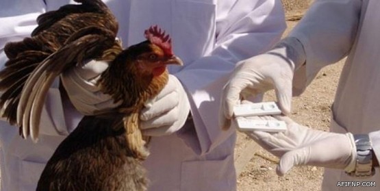 خادم الحرمين الشريفين يقيم مأدبة غداء لقادة ورؤساء وفود الدول العربية