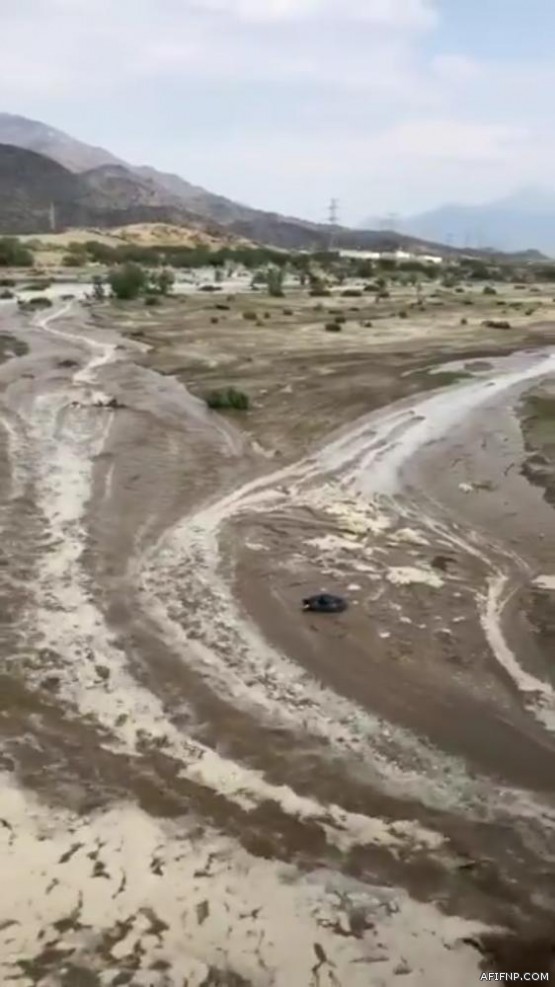 فرع كلية الحاسب بعفيف يتوج الفائزين بمسابقة الاولمبياد التقني في البرمجة