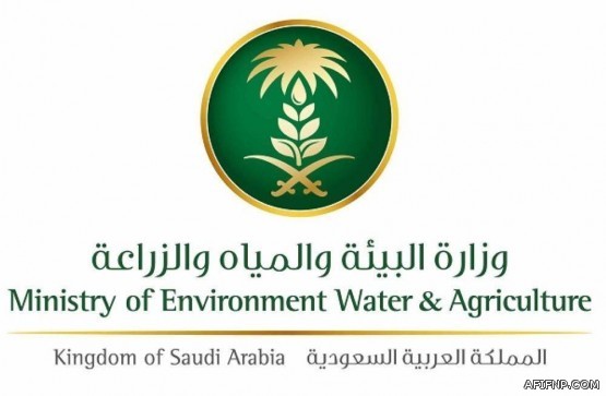 أكثر من 10 آلاف خيار سكني وتمويلي في الجوف خلال أقل من عامين