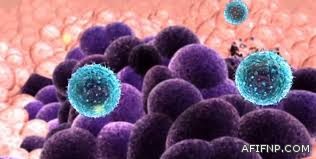 “‏‫الشورى” يصوّت الأسبوع القادم على نظام الشركات المهنية ويناقش تقرير الهيئة العامة للرياضة