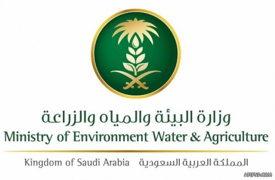 مؤسسة الموانئ الكويتية : توقف الملاحة البحرية مؤقتا بسبب تقلبات الأحوال الجوية