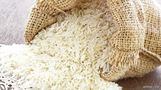 السجون تعترف بوجود فجوات عدة.. أبرزها تأخر استلام المفرج عنهم