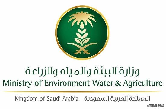 الإعلان عن موعد انطلاق بطولة السعودية للراليات الصحراوية.. و5 مدن تستقبل فعالياتها