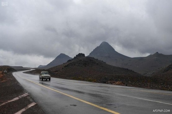 “كريم” تبدأ تقديم خدمة النقل الجماعي بالحافلات في المملكة