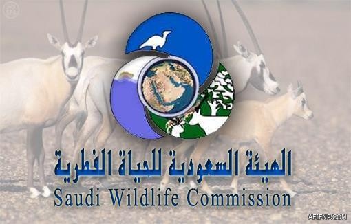 “سكني” يسلم خلال مايو الماضي 1576 قطعة أرض مجانية للمواطنين بمختلف أنحاء المملكة