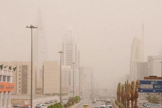 “الجمارك”: إقرار الإفصاح إلزامي.. وعقوبة تجاهله تصل إلى 50% من قيمة المضبوطات