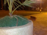 وظائف شاغرة بمستشفى الملك فهد التخصصي بالدمام