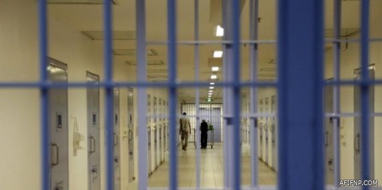 “وزارة البيئة” تعلن بدء موسم حظر صيد أسماك الباغة في البحر الأحمر