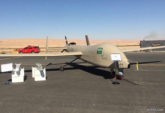 “الجوازات” تكشف عن عدد الحجاج الذين وصلوا عبر مبادرة طريق مكة