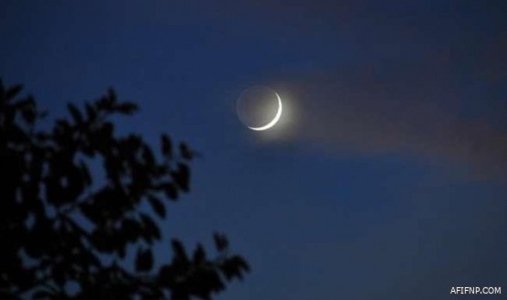 “العمل” تشترط تسجيل المحاسبين الوافدين لدى “هيئة المحاسبين” لرفع معدل توطين القطاع