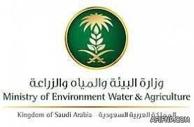 مكافحة المخدرات تقبض على (3) أشخاص بمنطقة الجوف لترويجهم أقراصًا خاضعة لتنظيم التداول الطبي