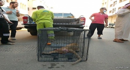 حكم قضائي يلزم جامعة حكومية بقبول طالبة في “الدكتوراه” بعد رفضها سابقاً