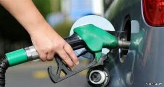 «النيابة» تباشر التحقيق مع المسيء للباحة وتوقفه على ذمة القضية