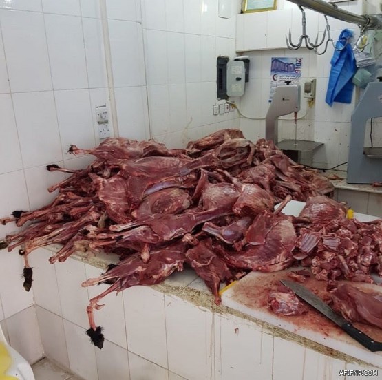 توجيه من «التعليم» بشأن صرف حوافز معلمي الصفوف الأولية والمكلفين