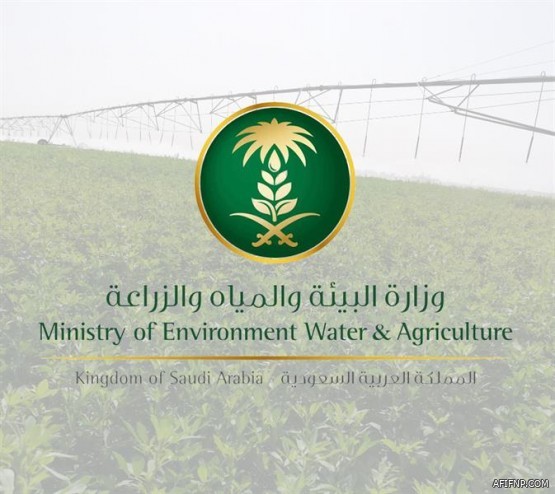 “السعودية للكهرباء”: انطلاق المرحلة الأولى من مشروع العدادات الذكية قريباً