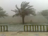 بلديه عفيف تغلق عدد من المطاعم (صور)