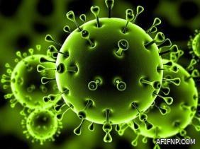 قطاع الرعاية الصحية الأولية بعفيف  ينظم حملة عن فايروس «كورونا» المستجد