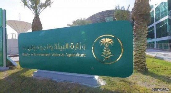 وزارة العدل تطلق التحول الرقمي للتراخيص العدلية