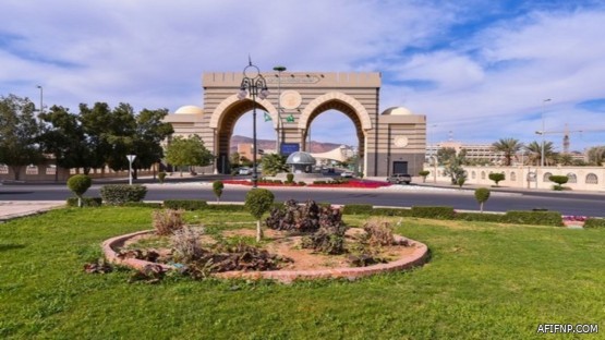 جولات رقابية مكثفه على القطاعات الصحية الأهلية بعفيف