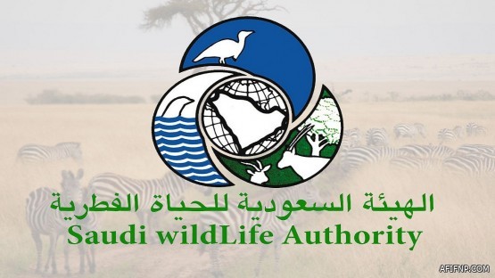 الفرق الصحية بعفيف تبدأ عملية الكشف المبكر الميداني لحالات الاشتباه بفايروس كورونا