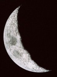 سكان لاهور يأكلون طعام القطط ويشربون أدوية الكلاب