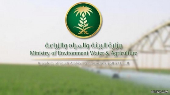 حساب المواطن يوضح مدى أهمية إثبات الاستقلالية في حال وجود تابعين