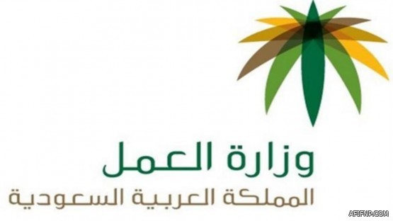 “البيئة” تلاحق أسراب الجراد الصحراوي بأربعة مناطق في المملكة