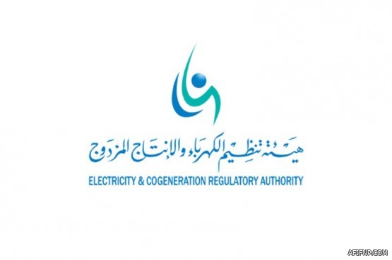 الهيئة الوطنية للأمن السيبراني تصدر وثيقة المعايير الوطنية للتشفير