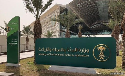 «شرطة حائل» تقبض على مقيمين تورطا بالمتاجرة بشرائح الاتصال