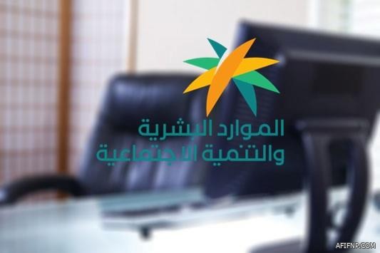 “النقل” تُعلن عن 25 وظيفةً شاغرةً وتدعو من يجد في نفسه الكفاءة إلى التقديم