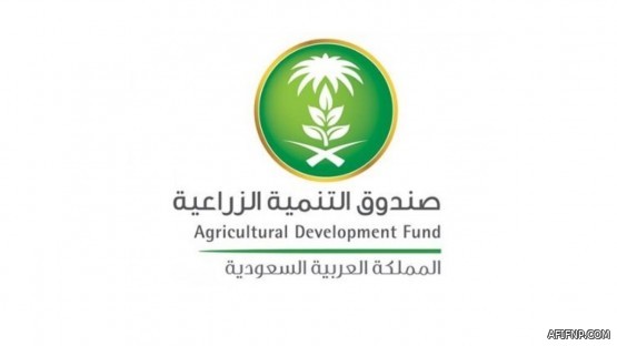 مشاركة القطاع الخاص في تقديم الخدمات الحكومية بعد إقرار نظام التخصيص