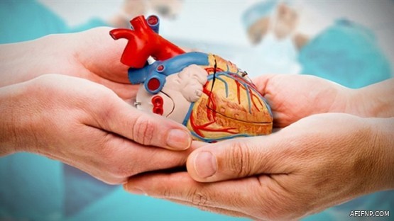 مواطن ينتحل صفة محامٍ وينصب على سيدة أعمال