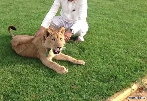 الغرامة 30 مليون ريال.. “النيابة” تحذر من تلويث الأوساط البيئية والموارد المائية