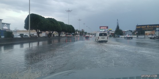 “الصحة”: تسجيل 11 وفاة و1056 إصابة جديدة بفيروس “كورونا” وشفاء 1071 حالة