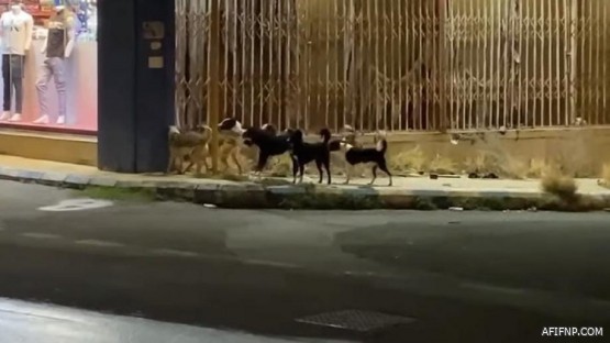 الجوازات: المستفيدون من منصة ?أبشر? لن يتم استقبال طلبات تجديد جوازاتهم عن طريق الإدارات