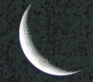 أولياء أمور حملوا د.سعيد ملا المسؤولية: مطالب للتحرك ضد سياسة جامعة شقراء تجاه محافظة عفيف