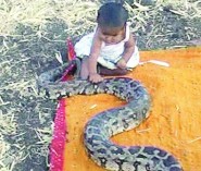 الأربعاء إجازة تعويضية لموظفي الدولة عن اليوم الوطني