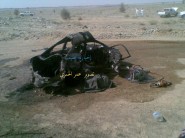 إعلان عن بيع عدد< 39> راس من الابل المجاهيم مع وايت عايدي