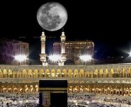 اختصاصي يحذّر من إصابات جديدة بـ«أنفلونزا الخنازير»