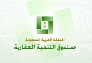 حكومات العالم تشدد الأمن الجوي بعد اكتشاف طردين ملغومين