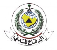 الانتربول يعتمد جواز سفر خاصا لتسهيل الانتقال عبر البلدان